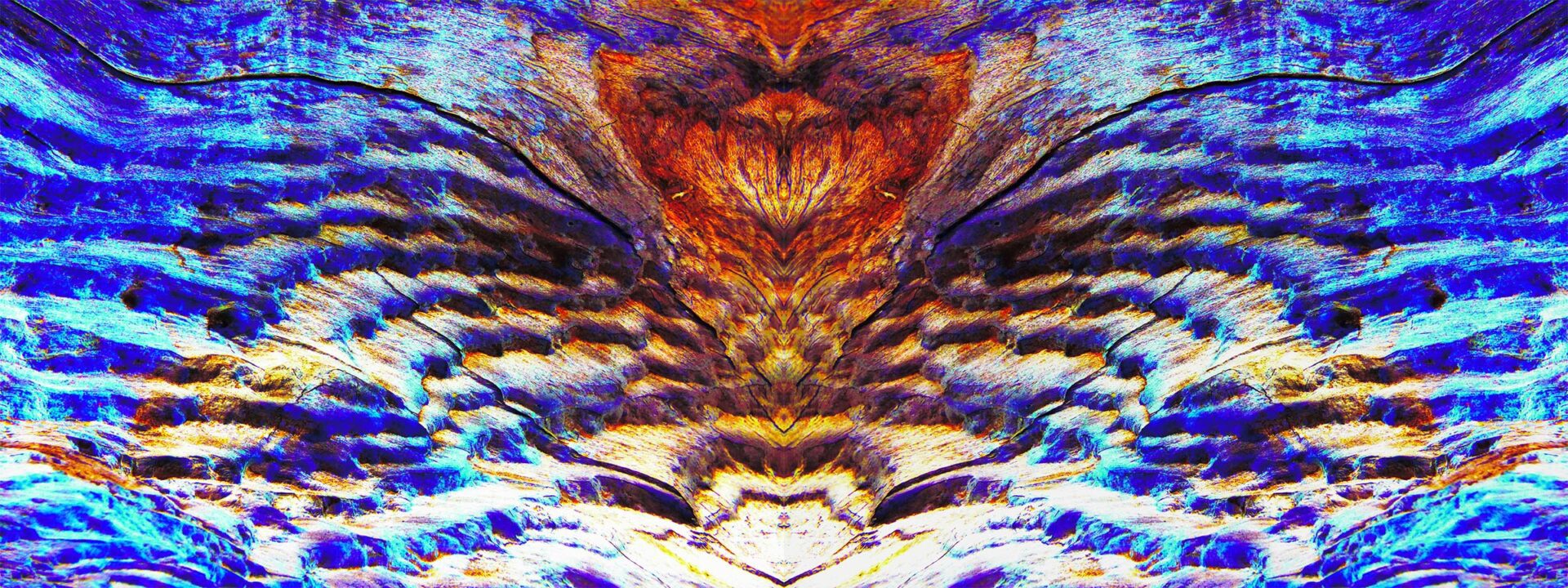 An abstract image of a bird with blue and orange feathers.