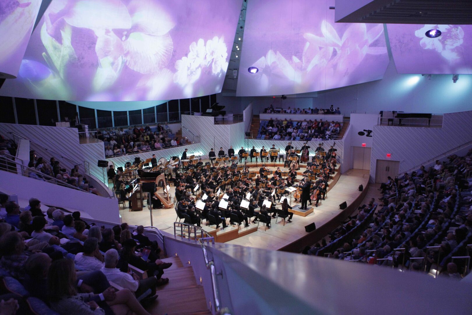 Symphony orchestra in a large auditorium with purple lighting.