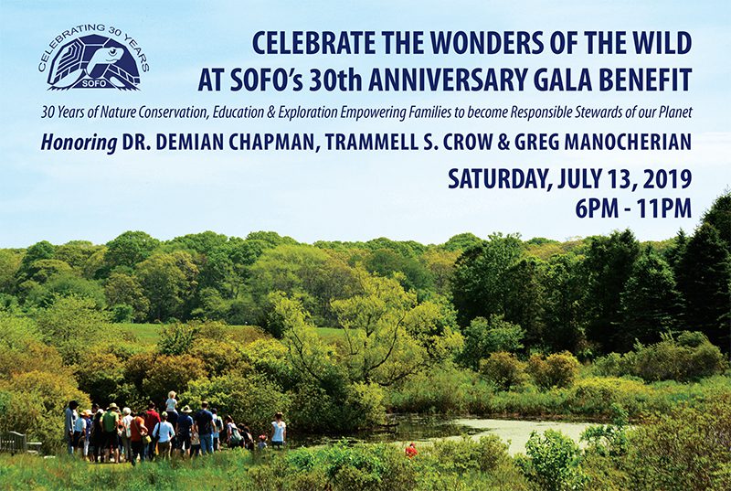 Celebrate the wonders of the wild at psos 50th anniversary benefit.