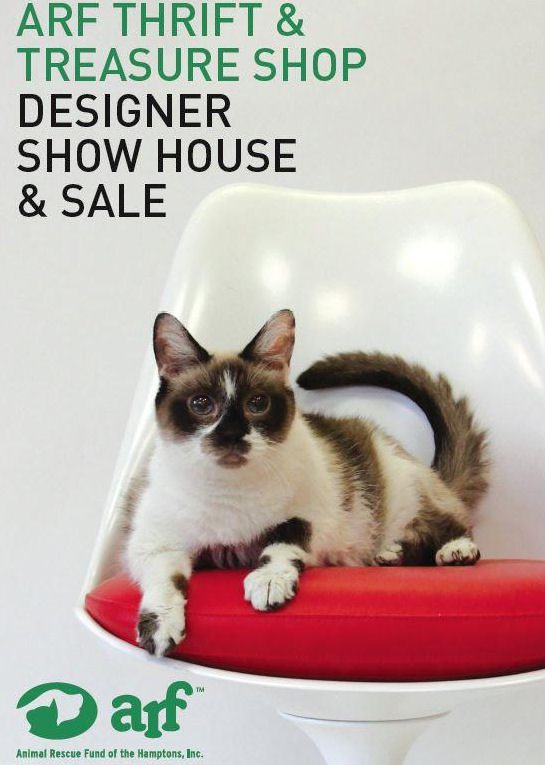 A cat sitting on a chair with the words af thrift & treasure shop designer show house sale.