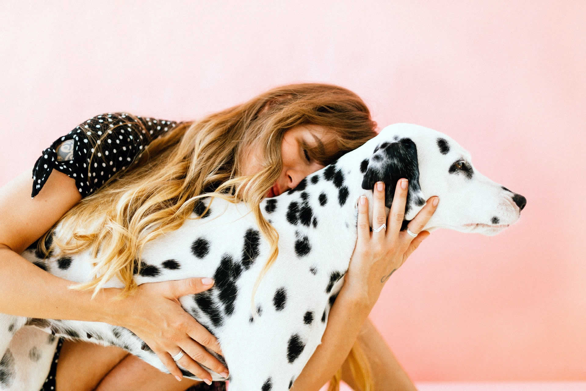 A woman hugging a dalmatian dog on a pink background.