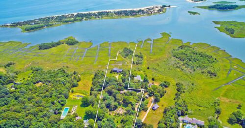 Wide angle view of an area with so many plants and trees