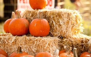 Orange pumpkins stacked on hay bales in an autumn setting.