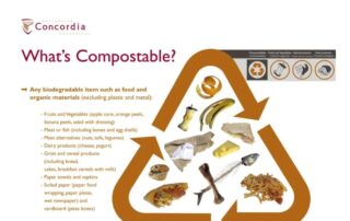Infographic explaining compostable items and the composting process.
