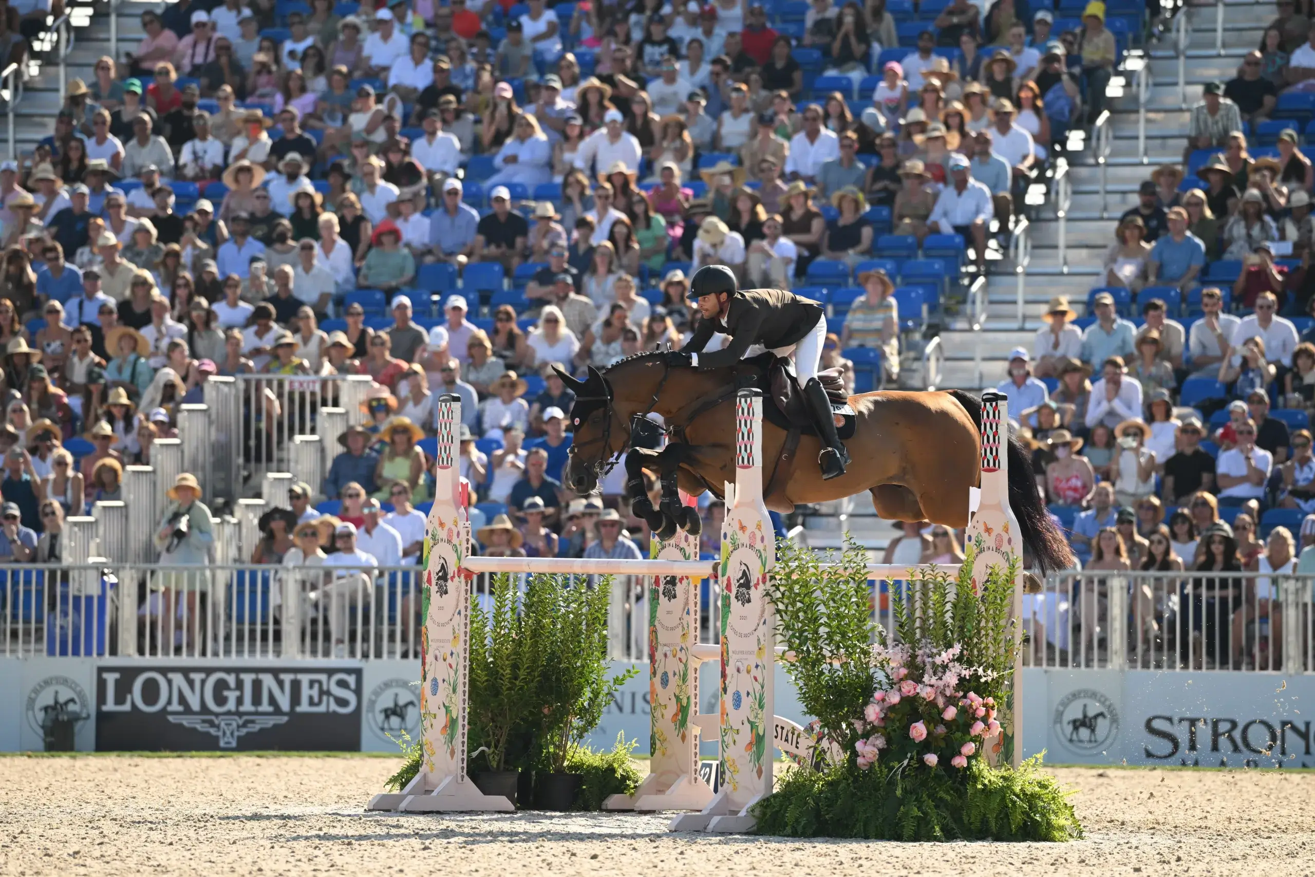 Horse jumping over obstacle in competition.