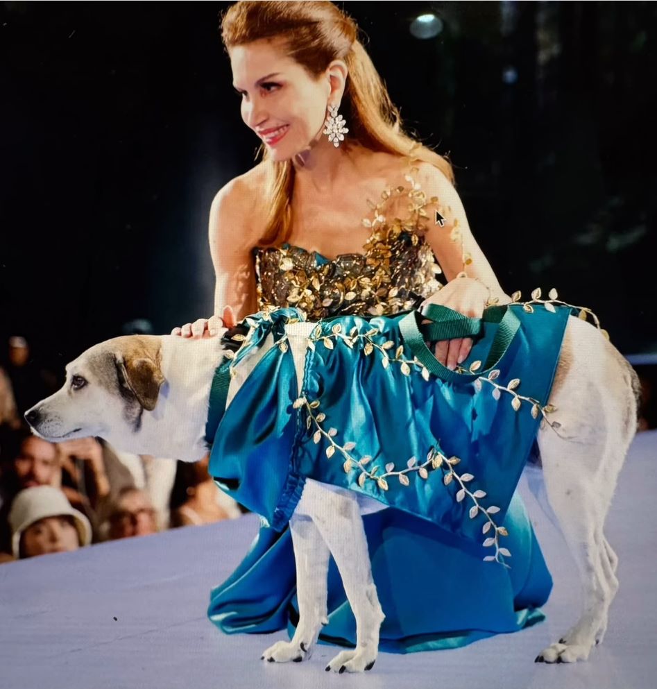Young man with a slight smile against a gray background.