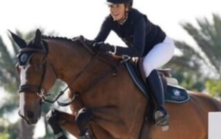 Woman show jumping on brown horse.