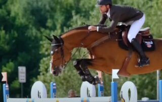 Rider and horse jump over hurdle.